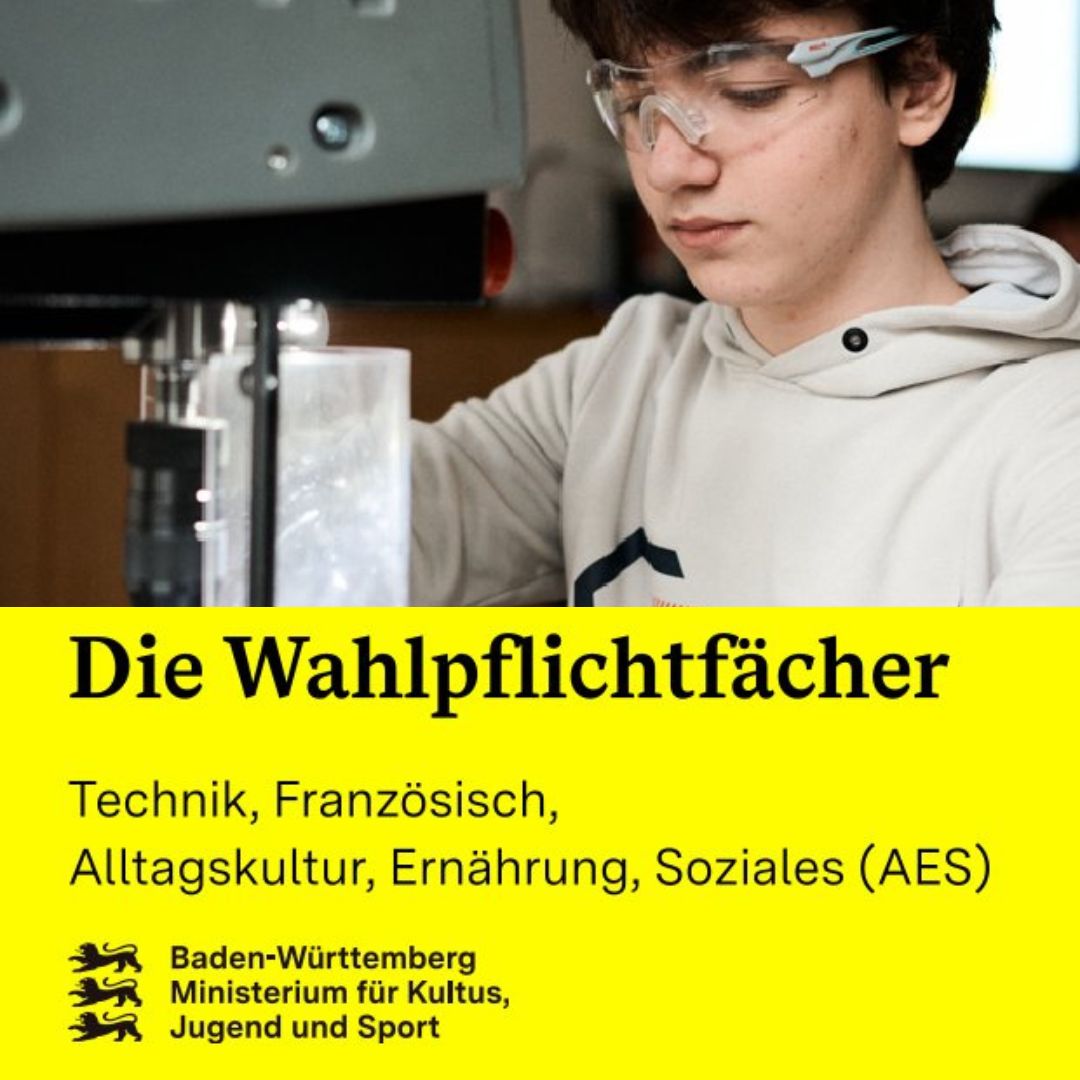 Die Datei 2025 Die Wahlpflichtfächer BW.pdf herunterladen